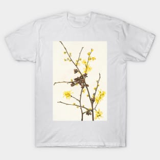 Witch-hazel - Botanical Illustration T-Shirt